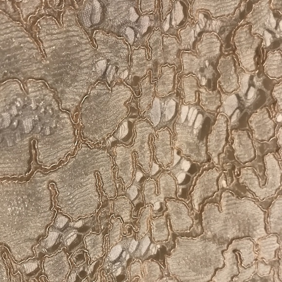 Zara lace strapless dress NWT - Picture 8 of 9